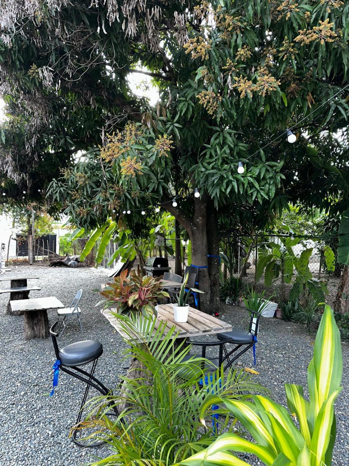 Hostal El Ejecutivo San Juan de la Maguana Bagian luar foto